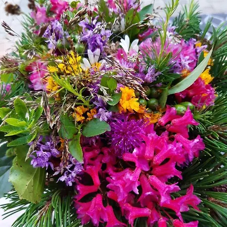 Appartementhaus St. Martin Seefeld w Tirolu